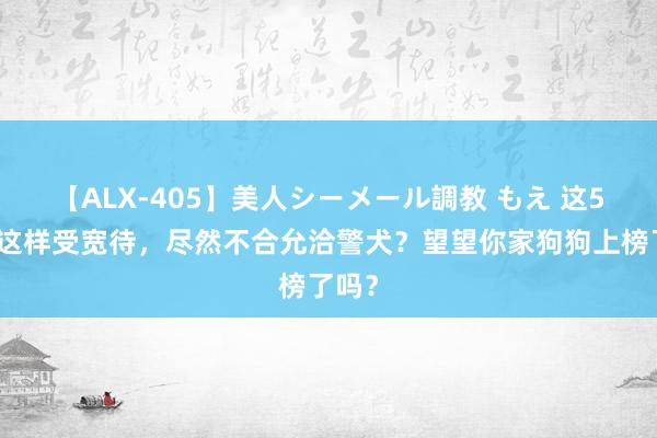 【ALX-405】美人シーメール調教 もえ 这5种狗这样受宽待，尽然不合允洽警犬？望望你家狗狗上榜了吗？