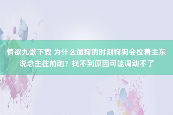 情欲九歌下载 为什么遛狗的时刻狗狗会拉着主东说念主往前跑？找不到原因可能调动不了