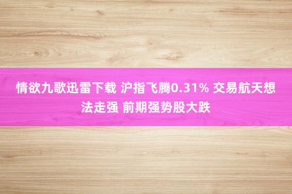 情欲九歌迅雷下载 沪指飞腾0.31% 交易航天想法走强 前期强势股大跌