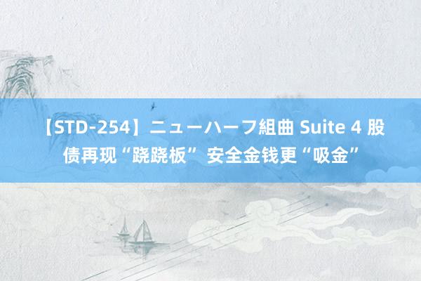 【STD-254】ニューハーフ組曲 Suite 4 股债再现“跷跷板” 安全金钱更“吸金”