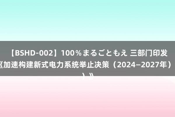 【BSHD-002】100％まるごともえ 三部门印发《加速构建新式电力系统举止决策（2024—2027年）》