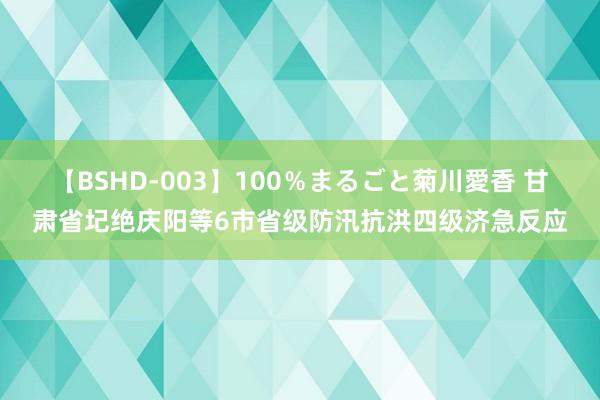 【BSHD-003】100％まるごと菊川愛香 甘肃省圮绝庆阳等6市省级防汛抗洪四级济急反应