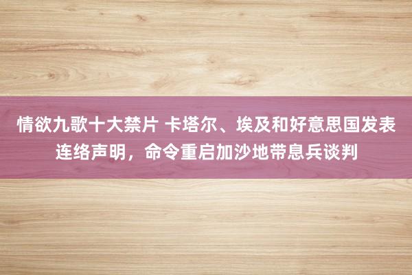 情欲九歌十大禁片 卡塔尔、埃及和好意思国发表连络声明，命令重启加沙地带息兵谈判