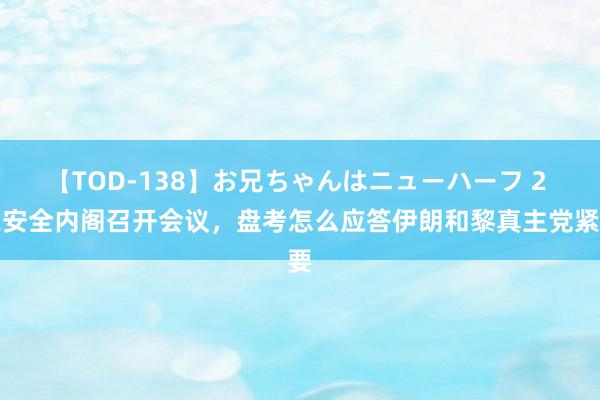 【TOD-138】お兄ちゃんはニューハーフ 2 以安全内阁召开会议，盘考怎么应答伊朗和黎真主党紧要