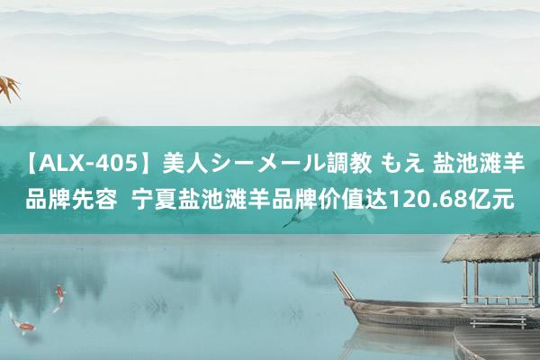 【ALX-405】美人シーメール調教 もえ 盐池滩羊品牌先容  宁夏盐池滩羊品牌价值达120.68亿元