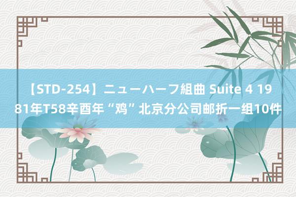 【STD-254】ニューハーフ組曲 Suite 4 1981年T58辛酉年“鸡”北京分公司邮折一组10件