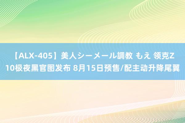 【ALX-405】美人シーメール調教 もえ 领克Z10极夜黑官图发布 8月15日预售/配主动升降尾翼