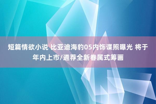 短篇情欲小说 比亚迪海豹05内饰谍照曝光 将于年内上市/遴荐全新眷属式筹画