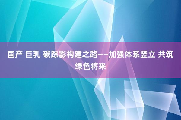 国产 巨乳 碳踪影构建之路——加强体系竖立 共筑绿色将来