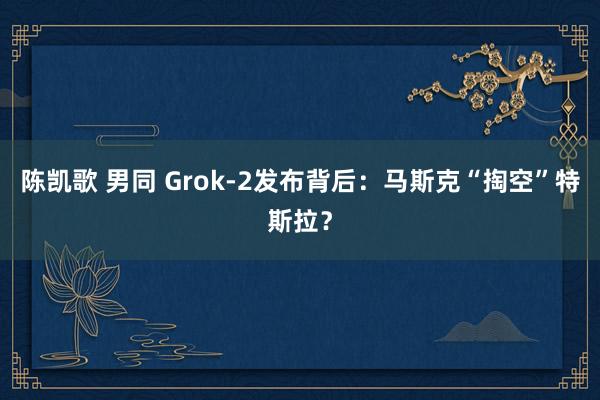 陈凯歌 男同 Grok-2发布背后：马斯克“掏空”特斯拉？