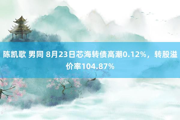 陈凯歌 男同 8月23日芯海转债高潮0.12%，转股溢价率104.87%