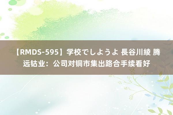 【RMDS-595】学校でしようよ 長谷川綾 腾远钴业：公司对铜市集出路合手续看好