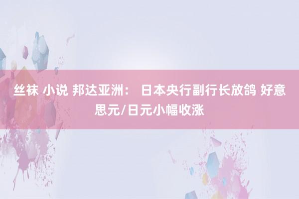 丝袜 小说 邦达亚洲： 日本央行副行长放鸽 好意思元/日元小幅收涨